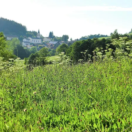 Oberer Wirt Bed and Breakfast *